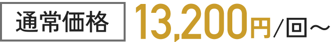 通常価格12,000円/回〜